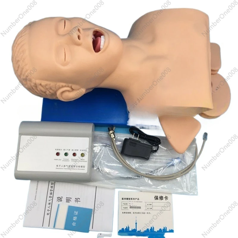 Intubation human body model learning teaching model airway management training device PVC alarm simulator with teeth