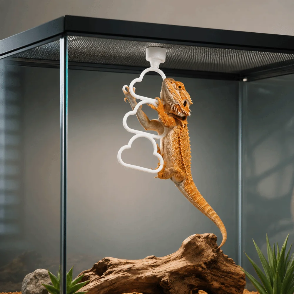 Hanging Reptile Climbing Ring Plastic Multi-Level 3-Ring Climber Cloud Shape Exercise Climbing Hoop Chain