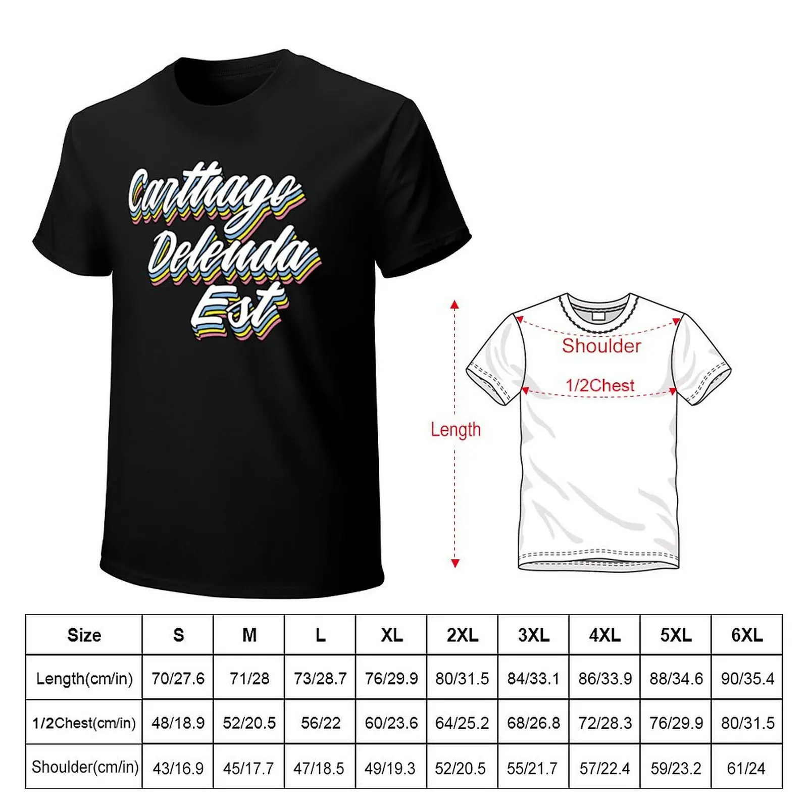 Carthago Delenda Est - Pop Latin T-Shirt Big and Tall Gym T-Shirt