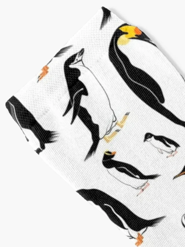 Penguin pattern Socks Men Socks Cotton