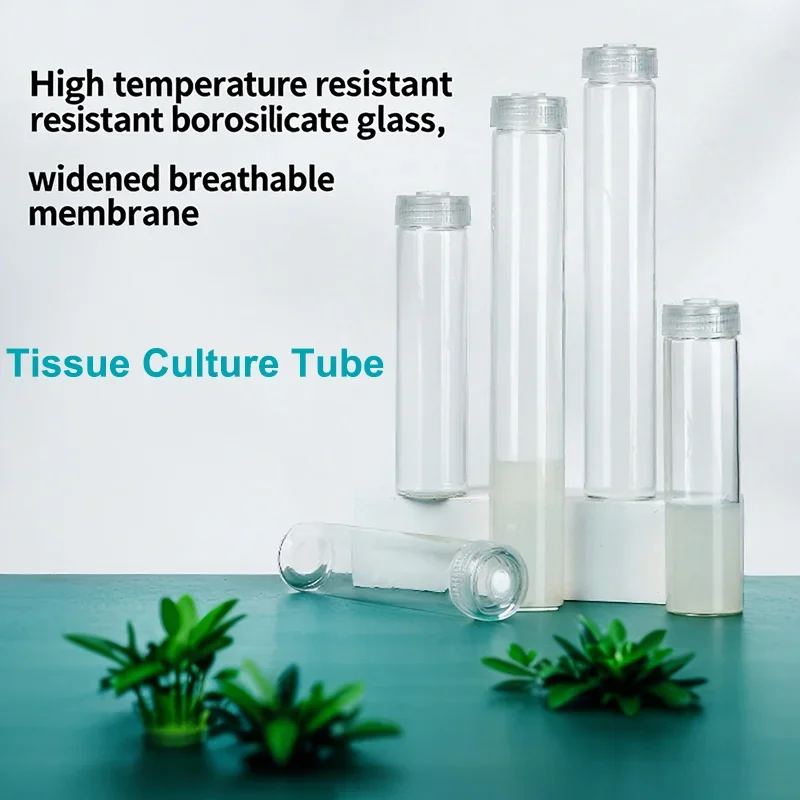 10PCS High Borosilicate Glass Tissue Culture Tube High Temperature Resistant Sterilization First Generation Culture Bottle 100mm
