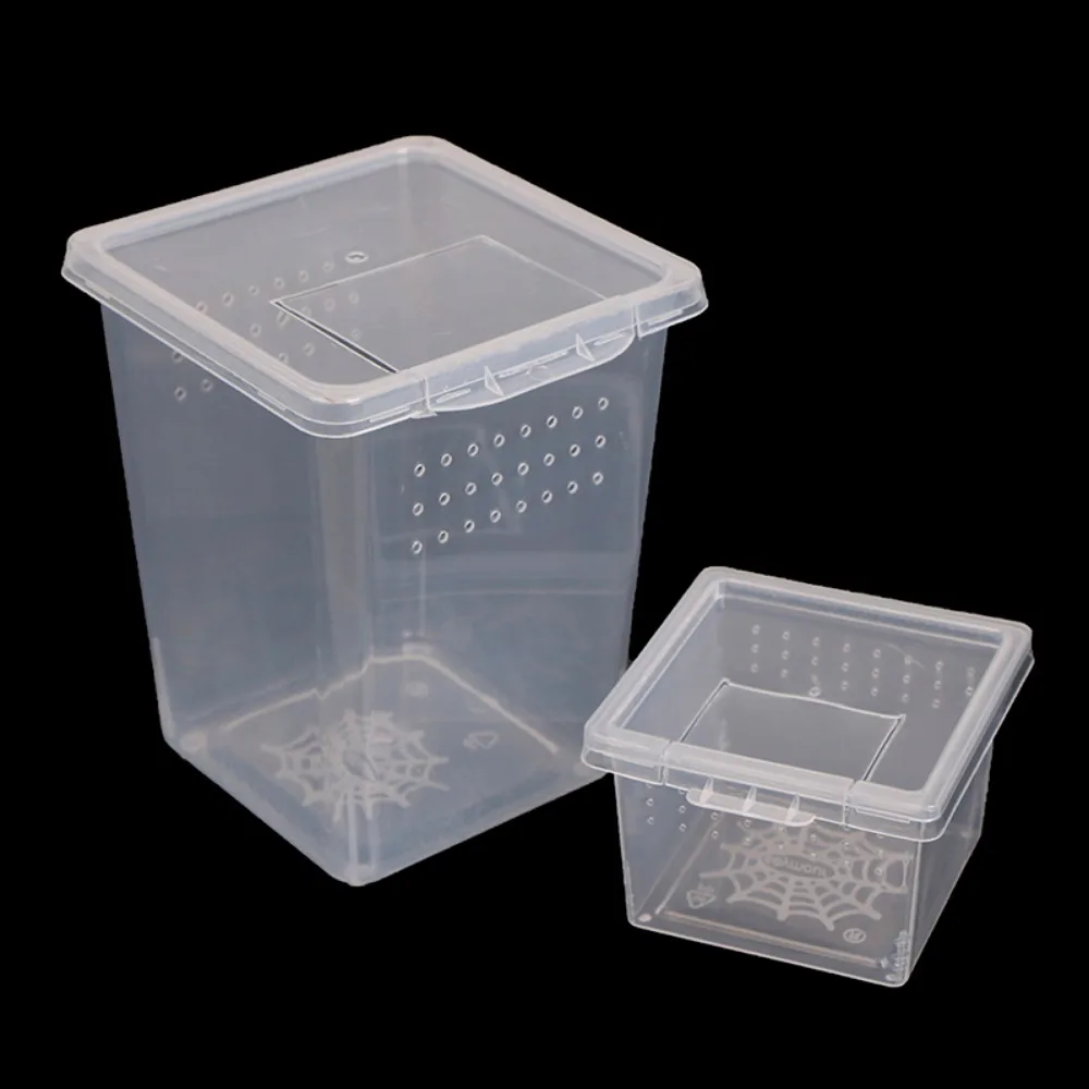 Durable Reptile Accessories Plastic Household Transparent Reptile Habitat Insect Feeding Box Hatching Tank Lizard Living Box