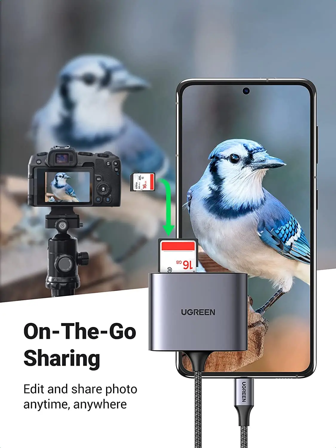 UGREEN Lettore di schede SD USB C Adattatore per lettore di schede USB C 3 in 1 Lettore di schede di memoria Micro SD di tipo C