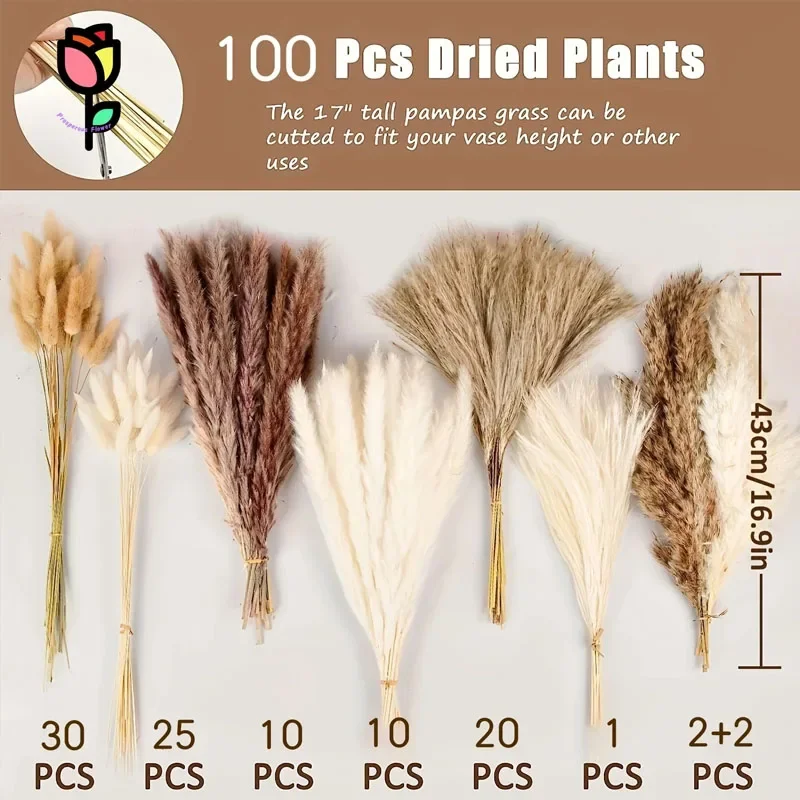 

100pcs Dried Flowers Pampas Grass Bouquets Bohemian Home Decor Natural Bunny Tail Wedding Decoration Fluffy Whisk Party Supplies