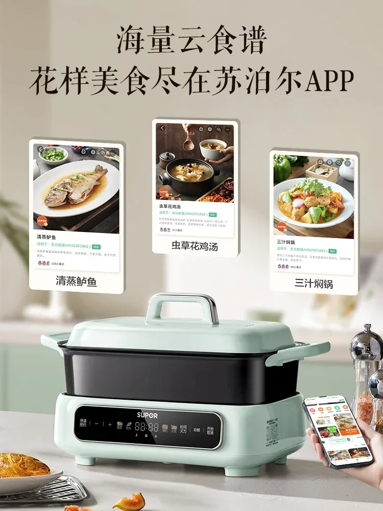 220V Multi Cooker with Grilling and Hot Pot Separation, Intelligent Roasting and Stewing Pot for Fish