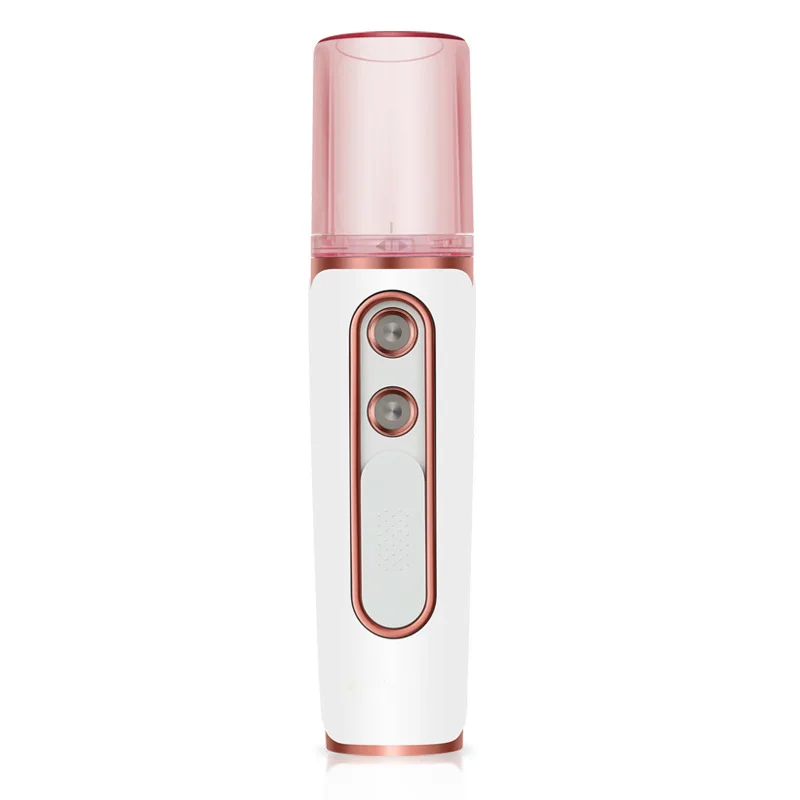 

Portable Dual-Hole Face Sprayer USB Charging Nano Water Meter Mini Facial Mist for Household Moisturizing Beauty Handheld Facial