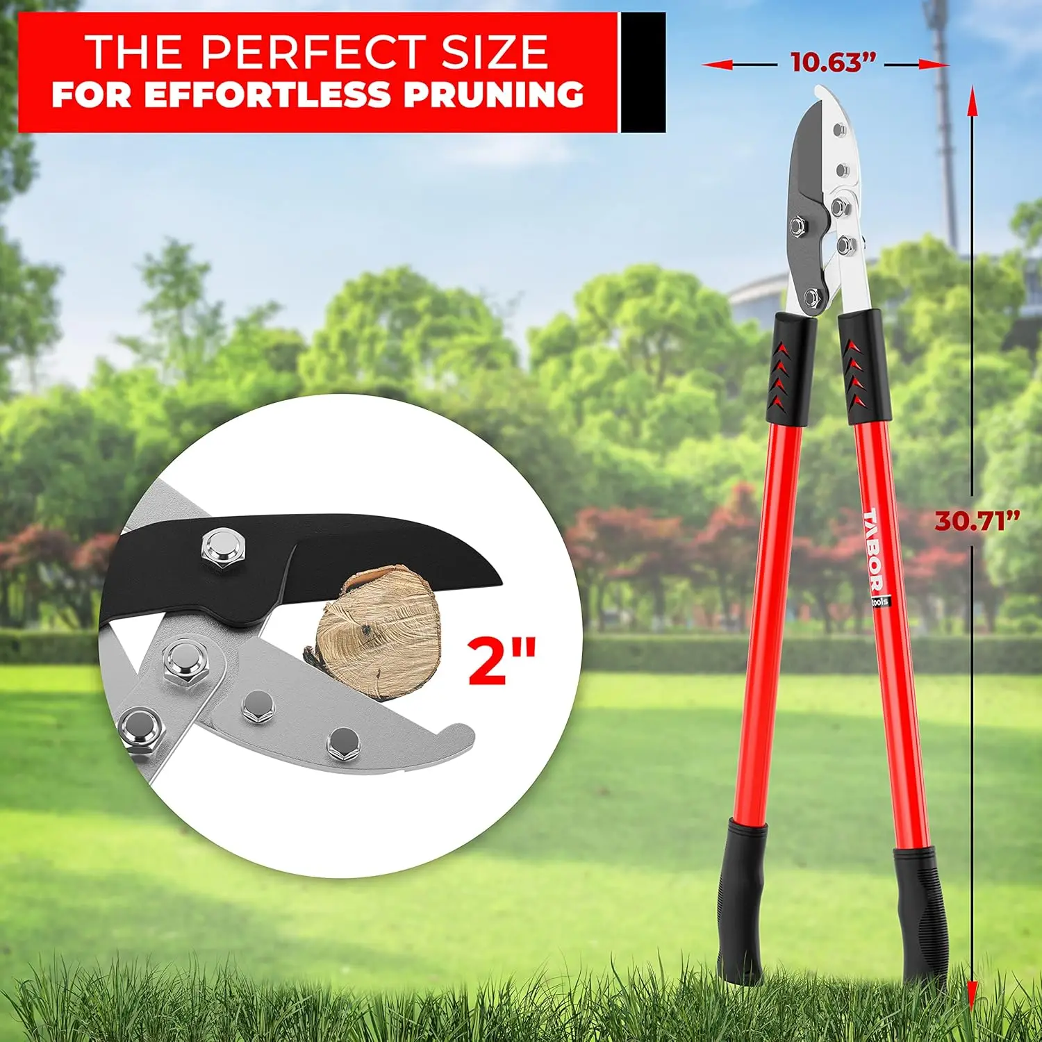 30-Zoll-Ambossschneider mit zusammengesetzter Wirkung, dicker Astschneider mit 2-Zoll-Kapazität zum einfachen Baumschneiden