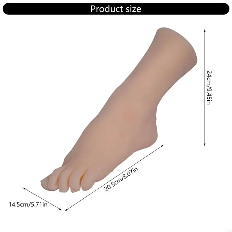 نموذج عرض قدم من درجة الاستوديو مع تفاصيل دقيقة للعظام، دعامة عرض محمولة لتعليم الفنون البصرية #6