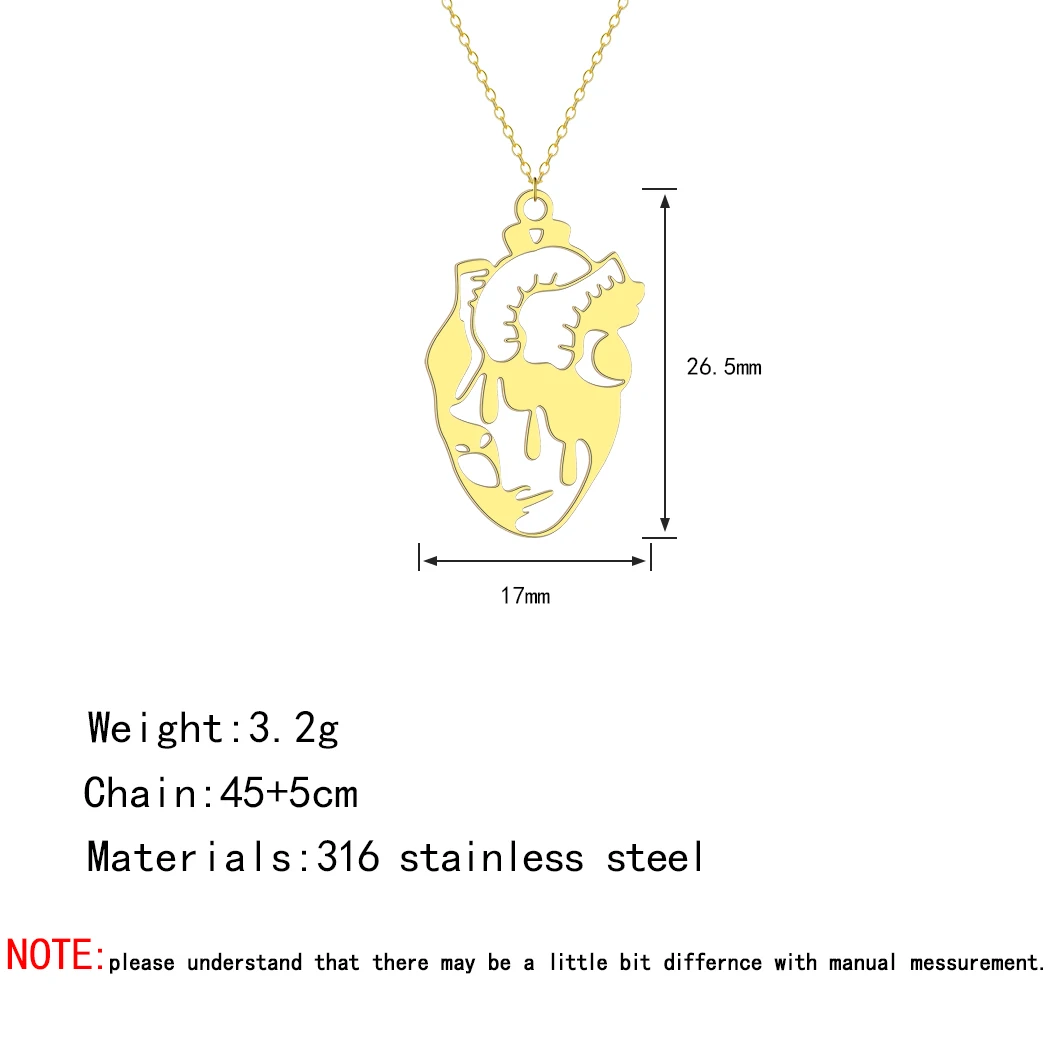 Hollow Heart Necklace for Women Girls Human Organs Shaped Pendant Stainless Steel Heart Charm Chain Collar Gift for Doctor Nurse