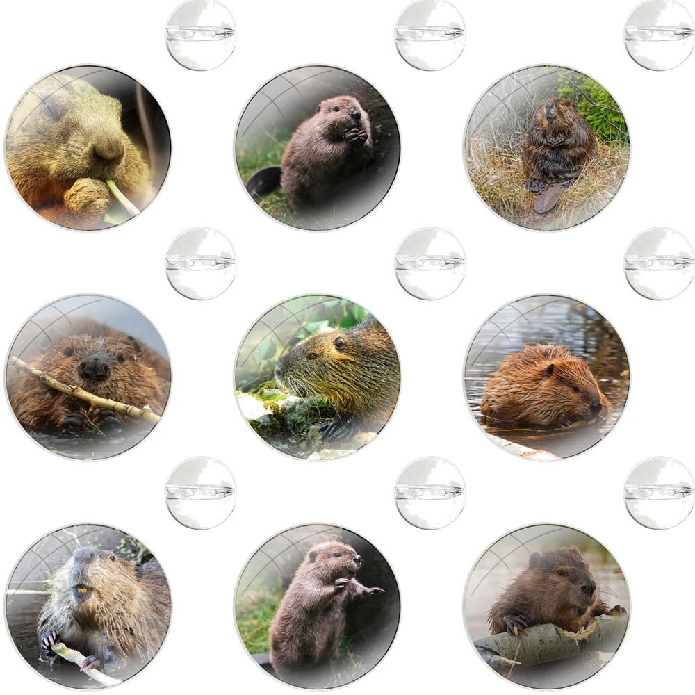 Beaver Zoo around The world Pattern Glass Dome Brooches Badge Pins For Clothes Hat Shirt Lapel Bag