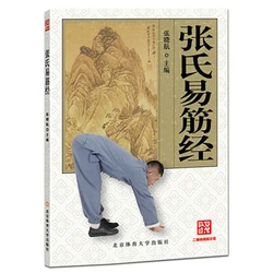 Zhang Shi Yi Jing Jin Shaolin Martial Arts Wushu Fitness Books In Chinese
