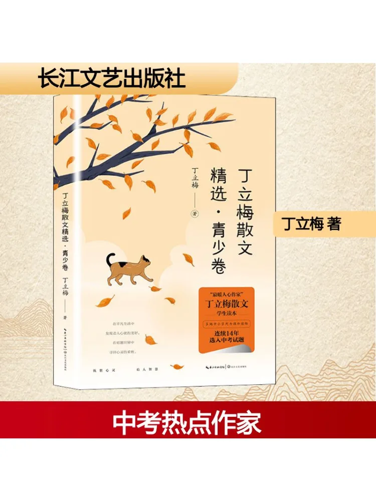 

Книга-Winshare Selected Proose от Ding Limei — молодежное издание