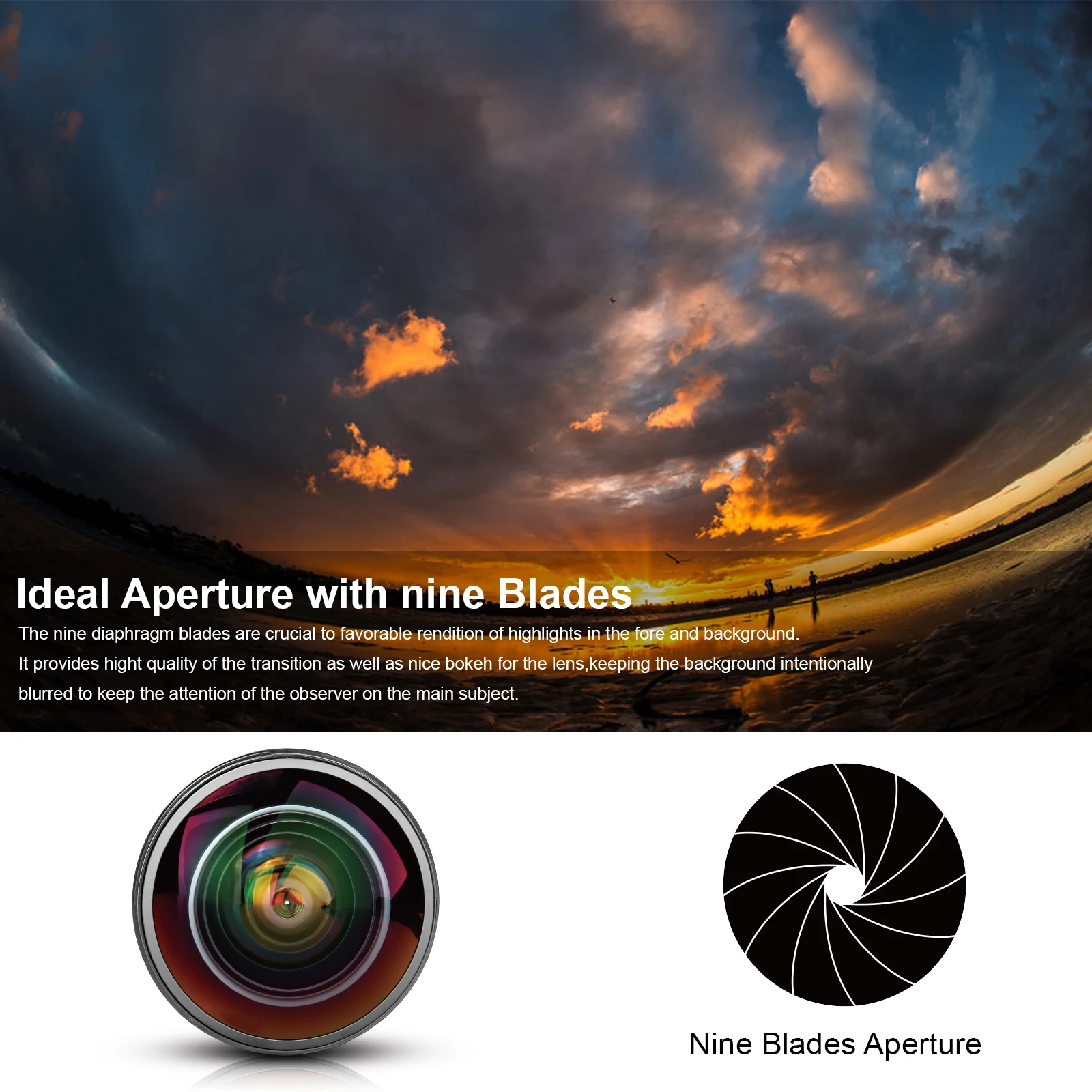 Meike 8mm f3.5 Ultra Wide Fisheye Lens for  Canon EOS EF /Nikon F-Mount Cameras with APS-C/Full Frame