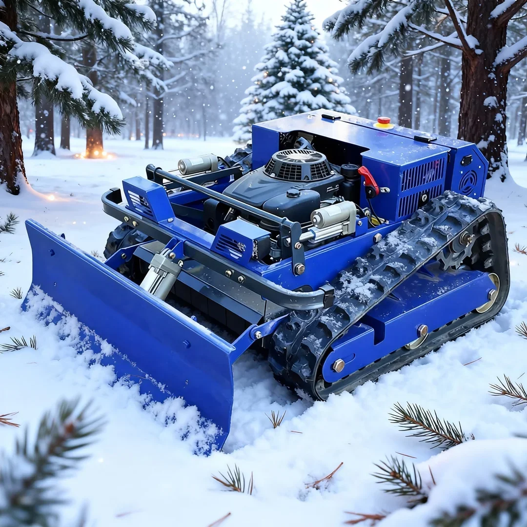 Customized Compact … - image