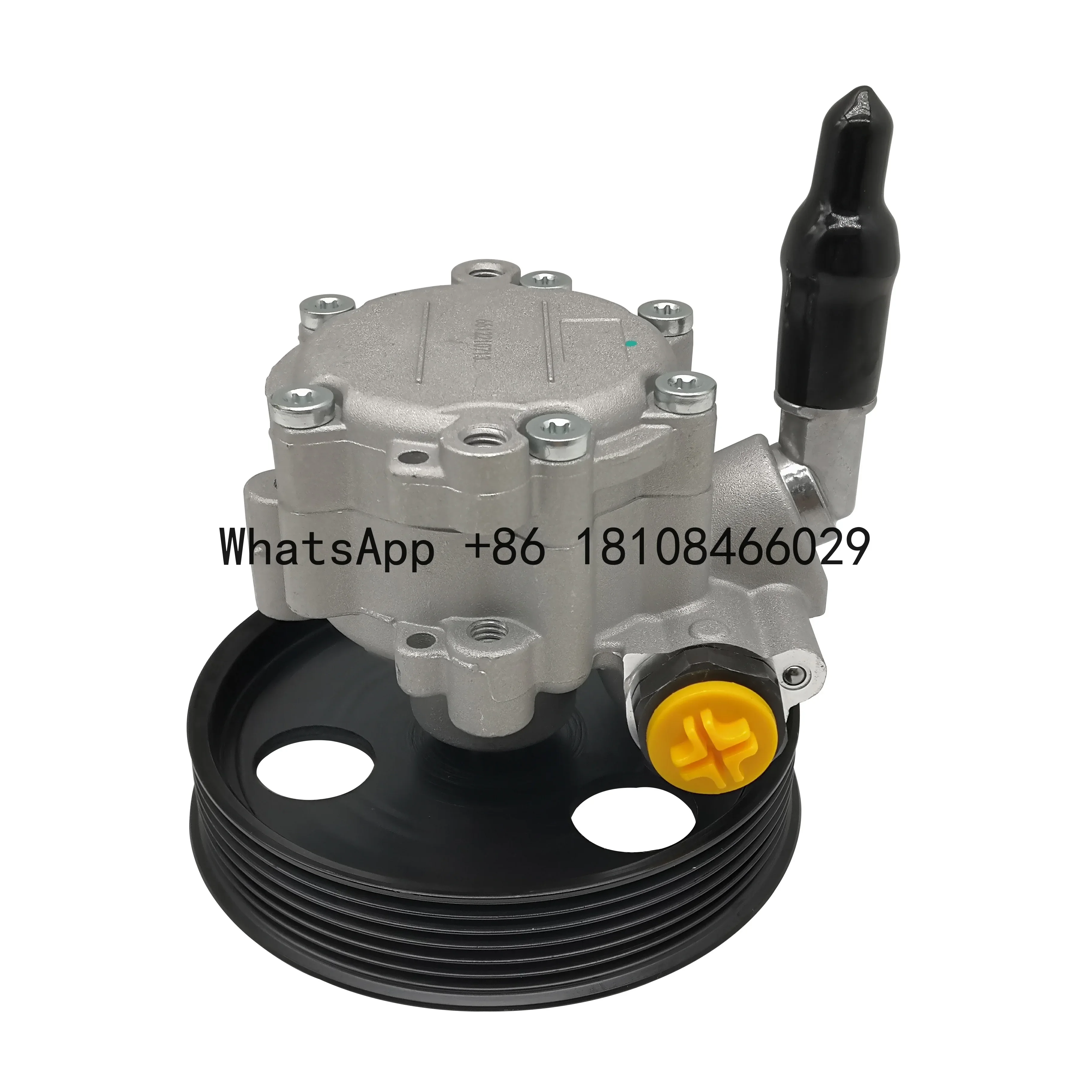 Auto Parts Steering System Hydraulic Pump 49110-5510R Power Steering Pump For Renault KANGOO OEM 491105510R