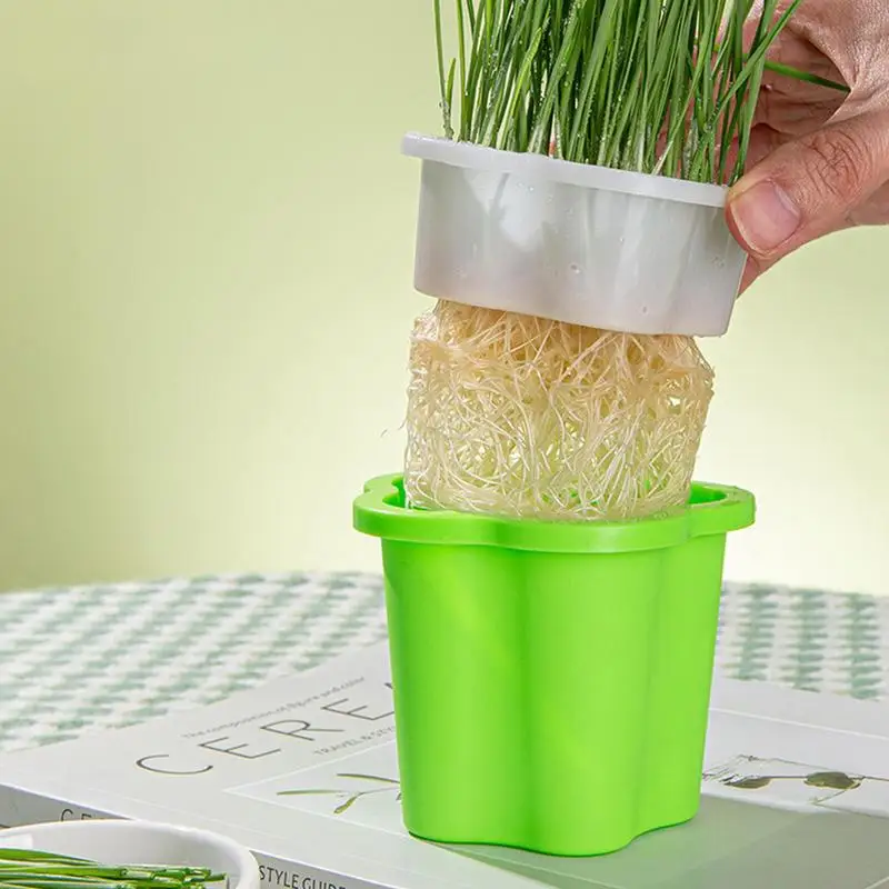 Kedi çim fide ekici Pot yeniden pencere hidroponik büyüyen tepsiler fasulye bezelye buğday fide Sprouter tepsi