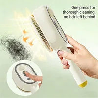 Electric Spray Air Cushions Massage Comb 3 in 1 Self Cleaning Steam Essential Oil Brush Rechargeable Spray Scalp Massager Combs 4