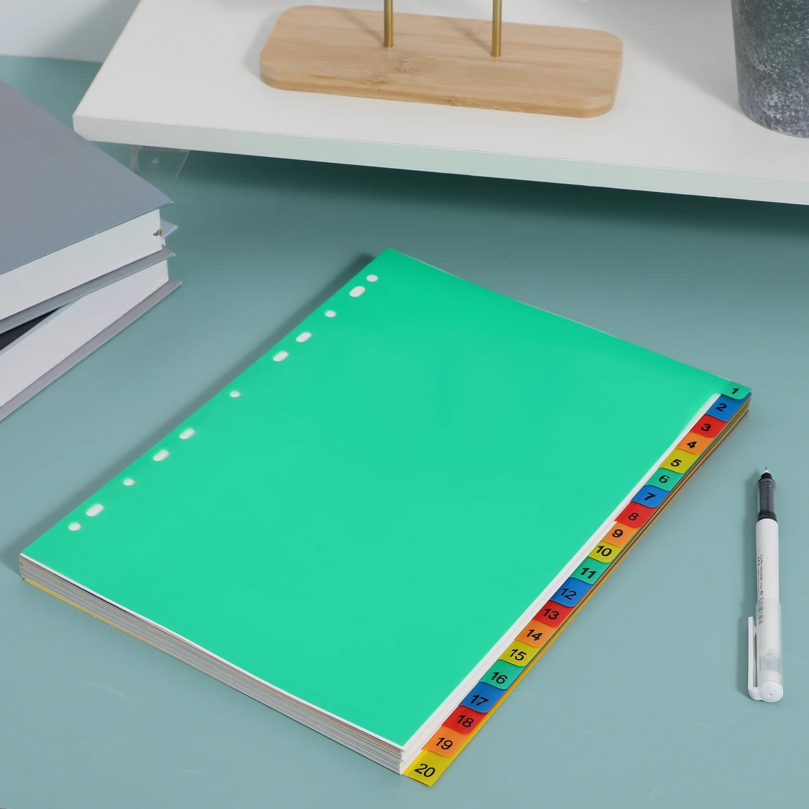20 Pages A4 Colorful Plastic Binder Dividers Insertable Tabs for Document Separation Rapid Classification Color Printed Number