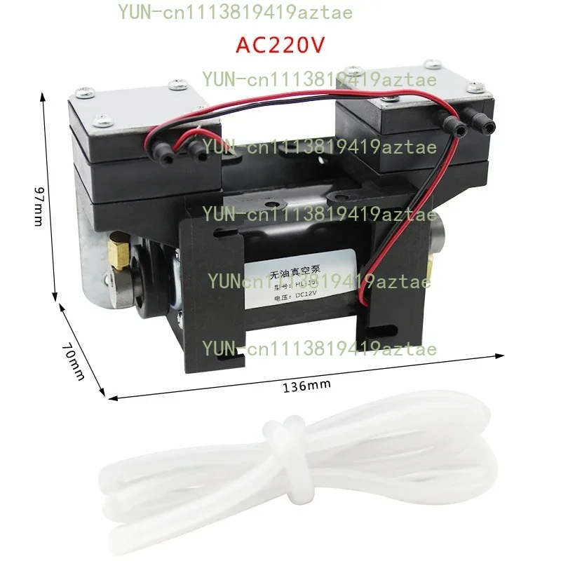 12V‑220V Mute Double‑Head Positive Negative Pressure Micro Vacuum Device For Beauty Instrument Processing Unit