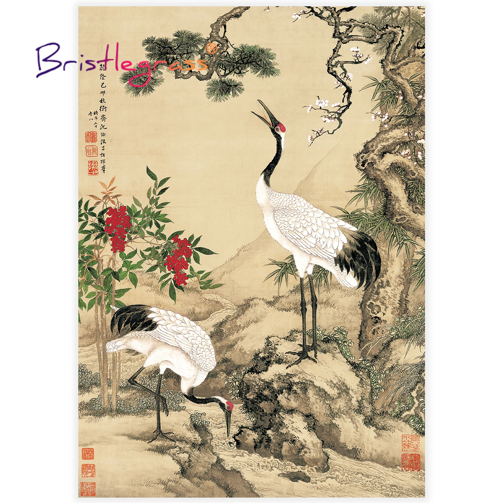 BRISTLEGRASS Wooden Jigsaw Puzzle 500 Piece Crane Peacock Bird Flower Chinese Painting Thangka Art Collectibles Toy Game Decor