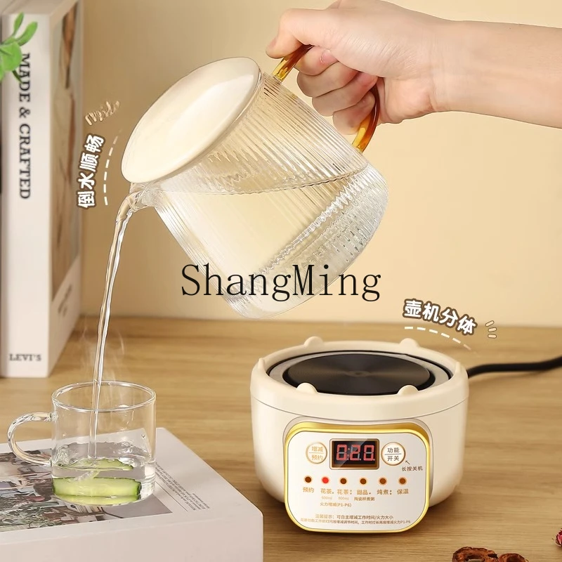 ZYY bollitore per tè multifunzionale per uso domestico per una persona