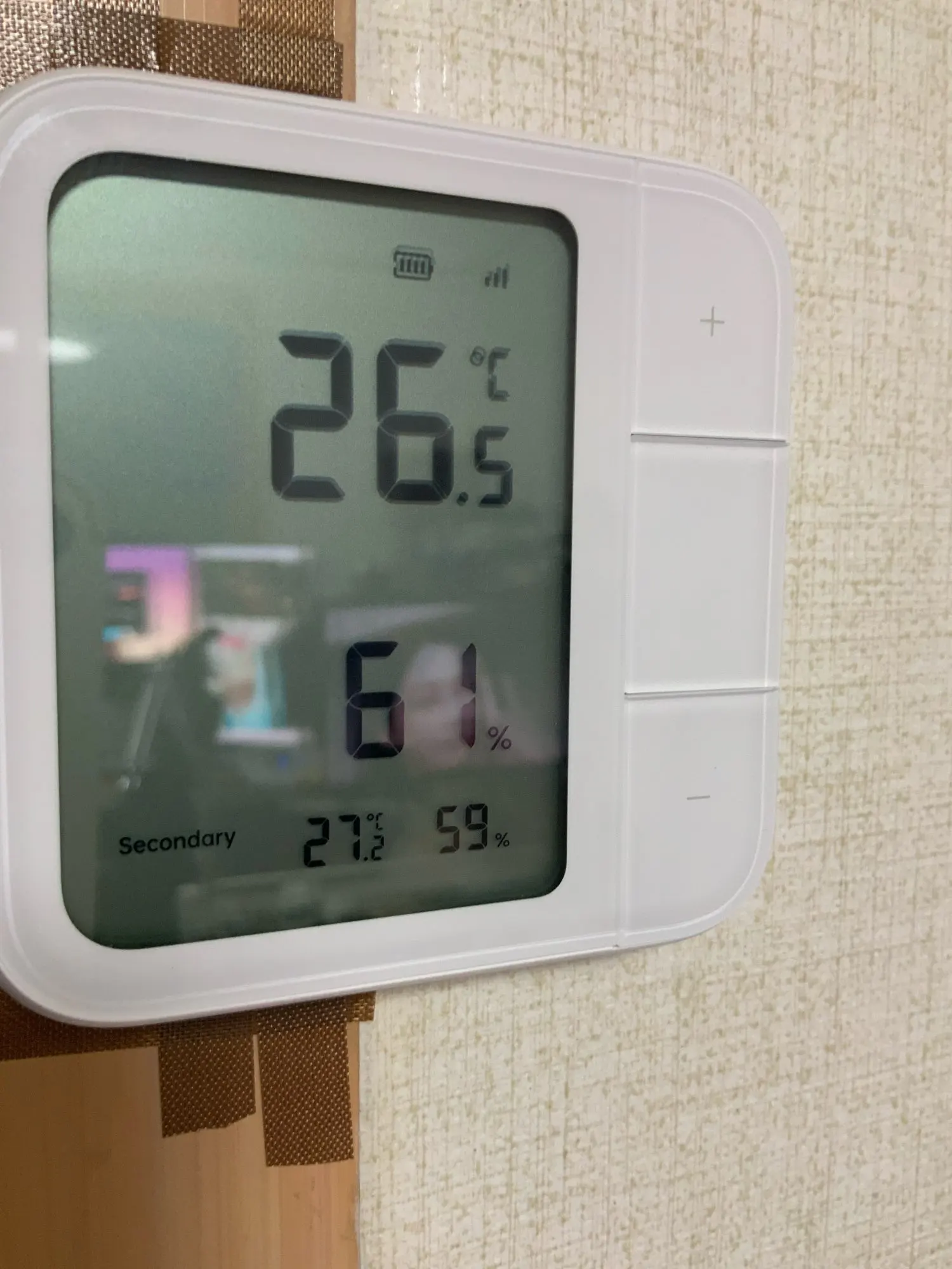 실물 포토 리뷰