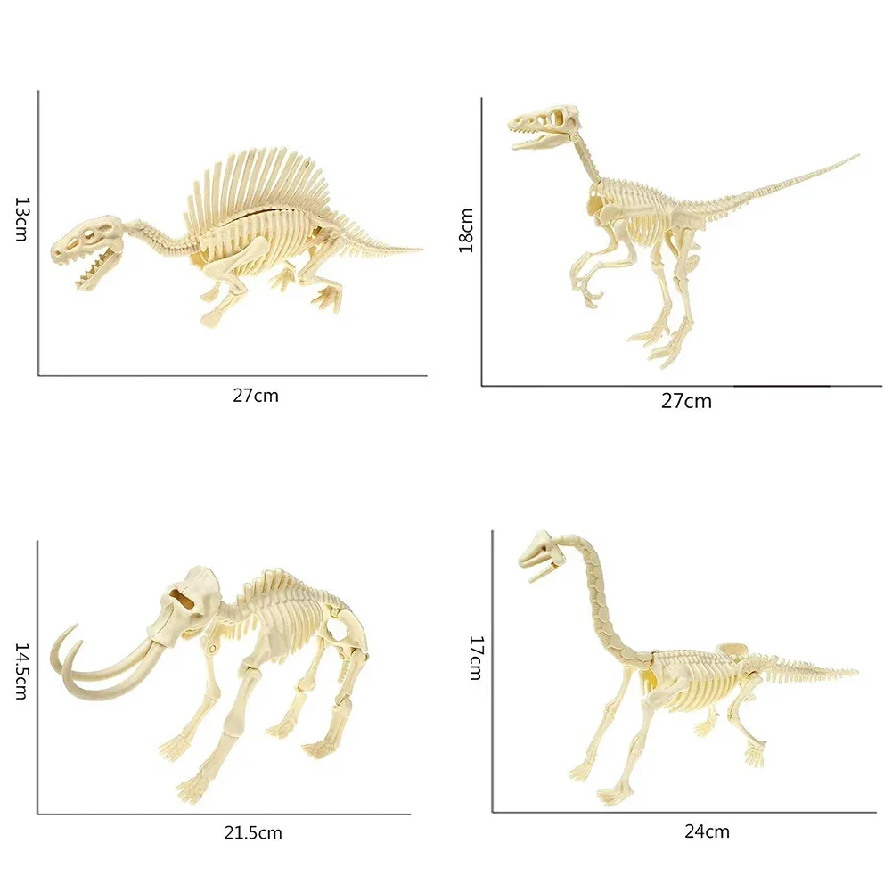Simulation Dinosaurier Fossil Kunststoff Skelett Modell Kinder DIY handgemachte Dinosaurier Skelett Montage Kit Tyrannosaurus Rex Modell – Detail 5