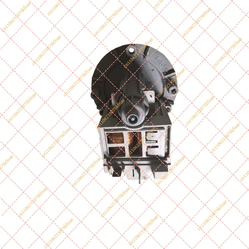 B20-6 Washing Machine Drain Pump Motor 220V 21W/30W Fit WF-C863 WF1600NCW 1702WCS Replacement Parts for Front Load Washer