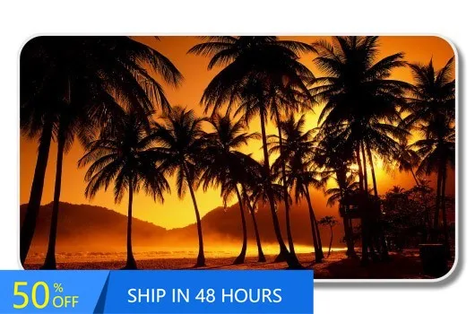 

Sunset Tropical Scene Palm Vintage Walls Car Boat Camper Van Waterproof Vinyl Decal Accessory Retro Cute Trendy Funny