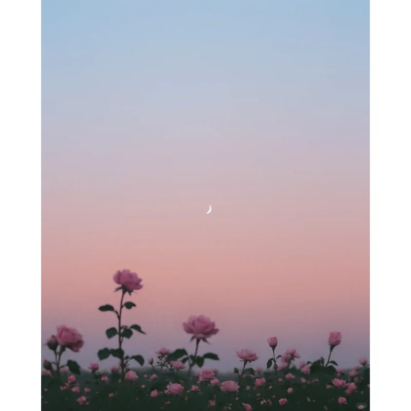 

Wireless Dongle Receiver Connects Up To 6 Devices USB Adapter Mouse Receiver Adapter for Logitech Unifying M905 M325 M510