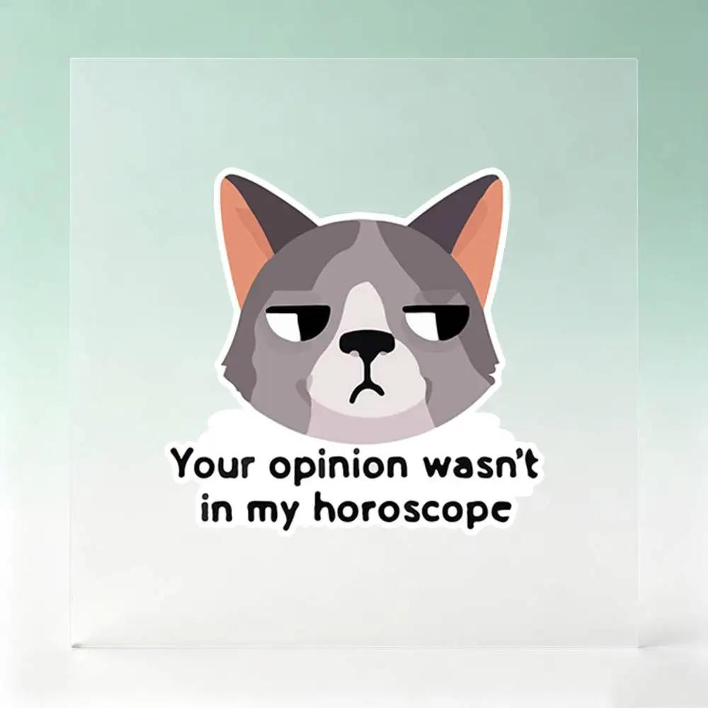 Your Opinion Wasn’t In My Horoscope Waterproof Stickers For Decorating Car Windows Motorcycles And Computers.