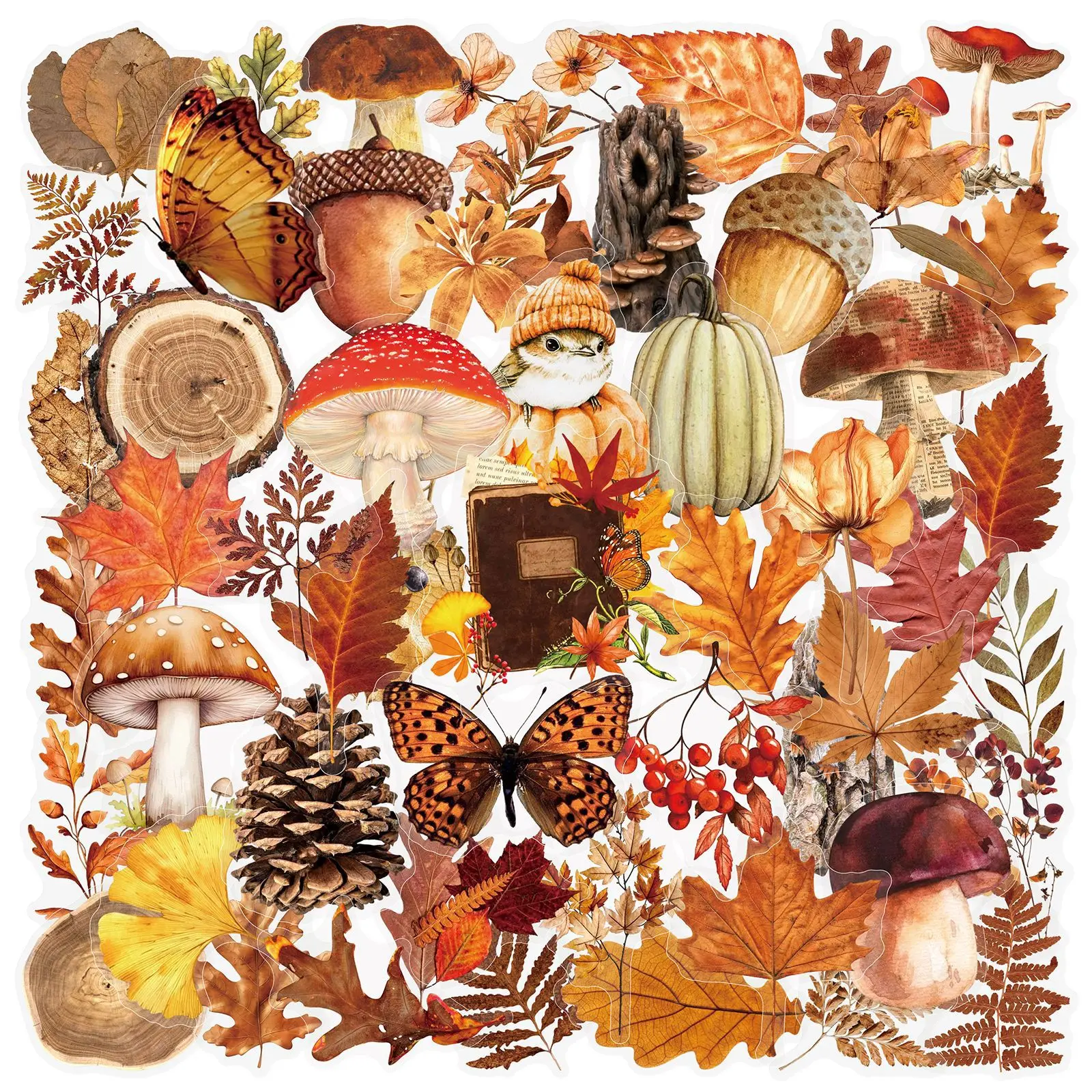 50Pcs Autumn Forest Plant Transparent Stickers Decals for Luggage Notebook Journal Specimen DIY Decoration