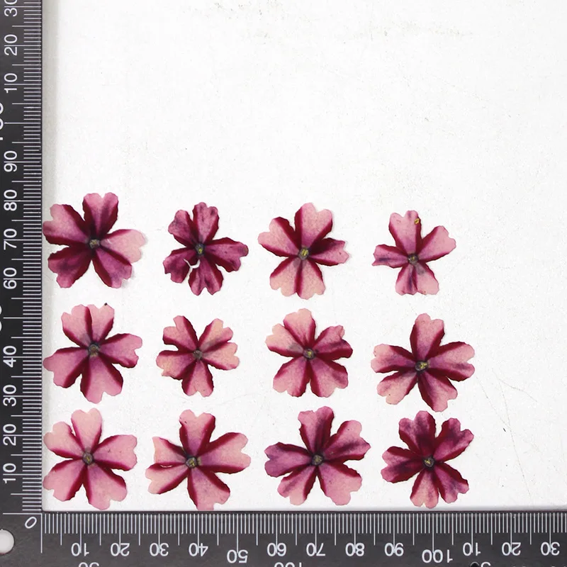 12 Stück, echte getrocknete Blumen, Prägematerialien, DIY-Zubehör für Epoxidharz, für Handyhüllen, Nagelkunst, Gesichtsaufkleber, handgefertigte Dekoration – Detail 26
