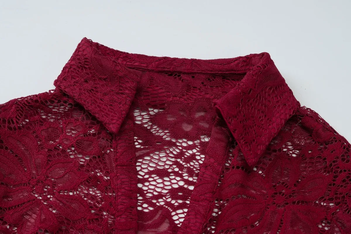 Set da donna in pizzo trasparente da 2 pezzi 2025 Autunno Colletto rovesciato Camicia monopetto a maniche lunghe Cardigan Top + Abito corto