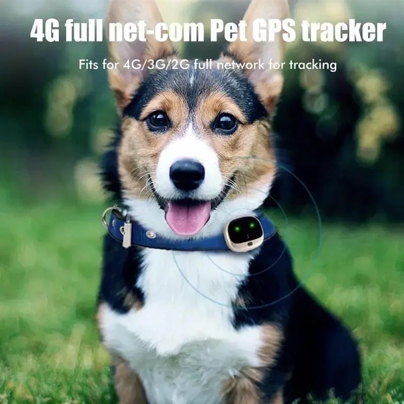 4G GPS Pet Dog Tracker Collar, Mini Cat Anti-Lost Tracker Locator Smart Dog Hound Locator Collar Pet GPS Tracking Device for Dog