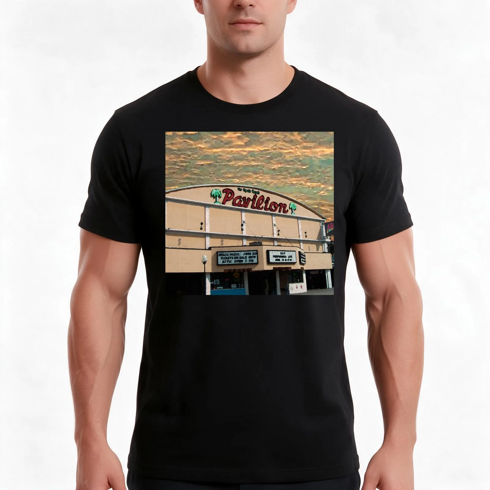 Pavilion T-Shirt, Summer Casual Cotton Tee, Oversized Streetwear Tops, Vintage Graphic Print, Loose Fit Short Sleeve