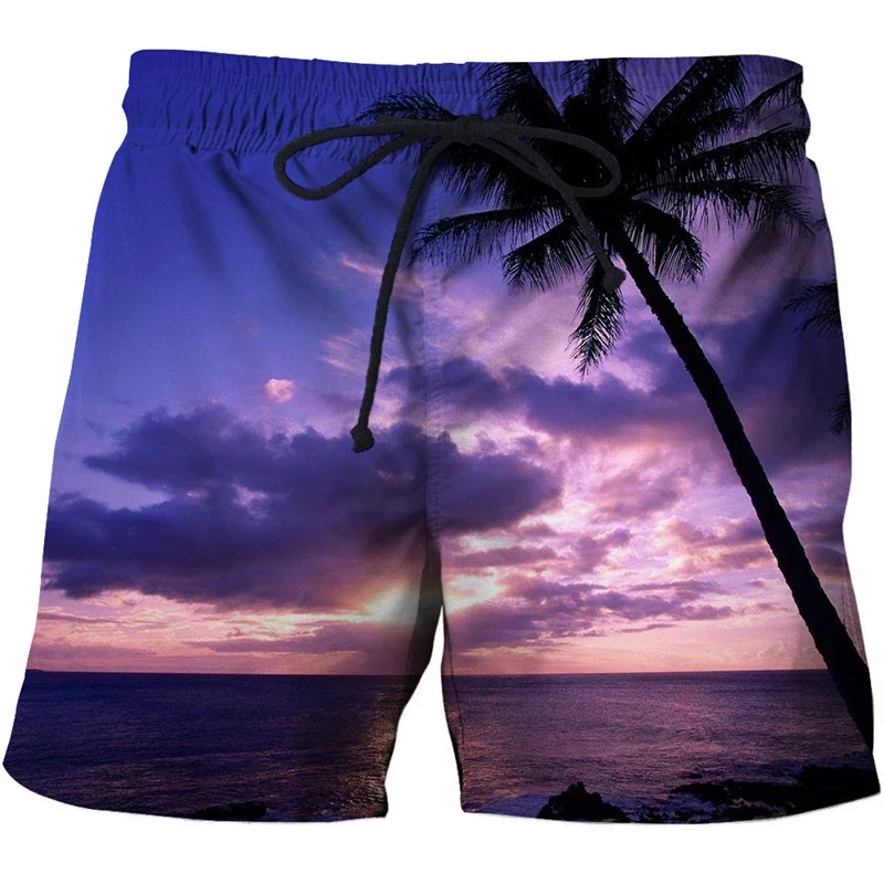 Summer New Beach Shorts Men Casual Tropics Board Shorts 3D Printed Swimsuit Homme 2023 Ropa Fashion Holiday Surf Swim Trunks