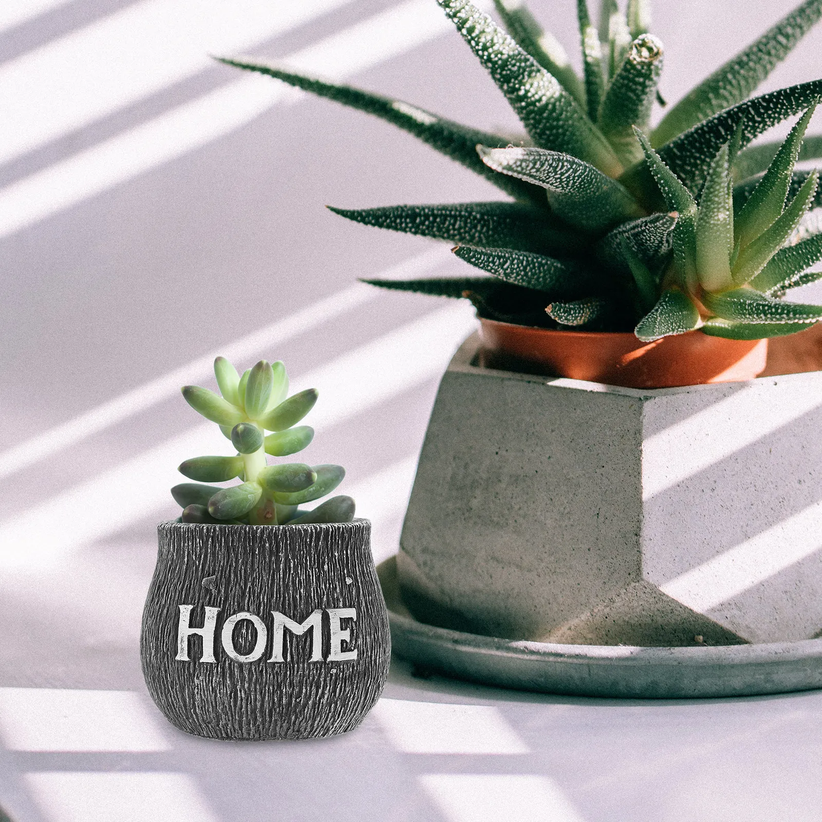 Cement Planter Nordic Design Succulent Planter Pot Breathable Structure Natural Texture Desk Decor for Indoor Plants Small