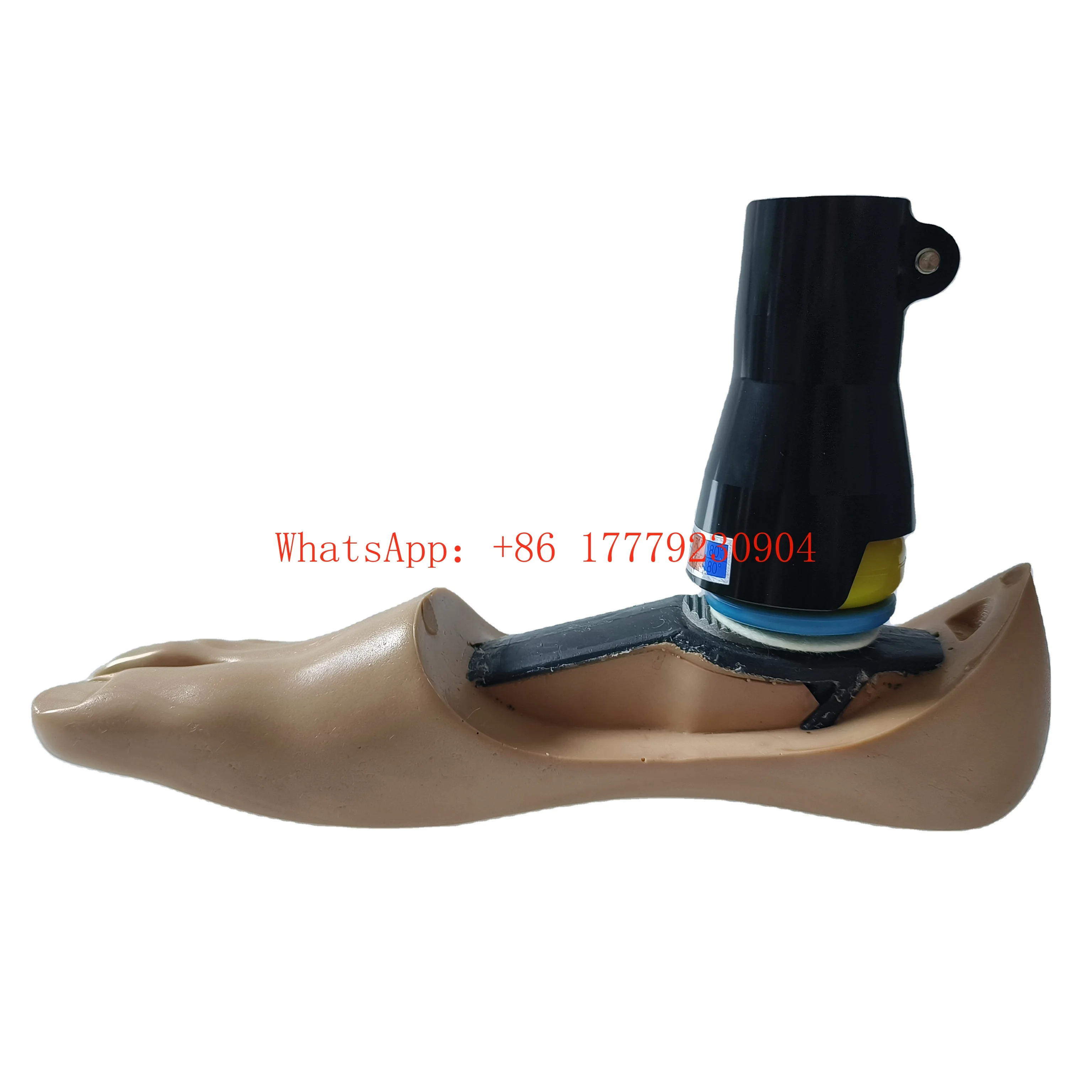 

Manufacturer Customization Universal Ankle Foot