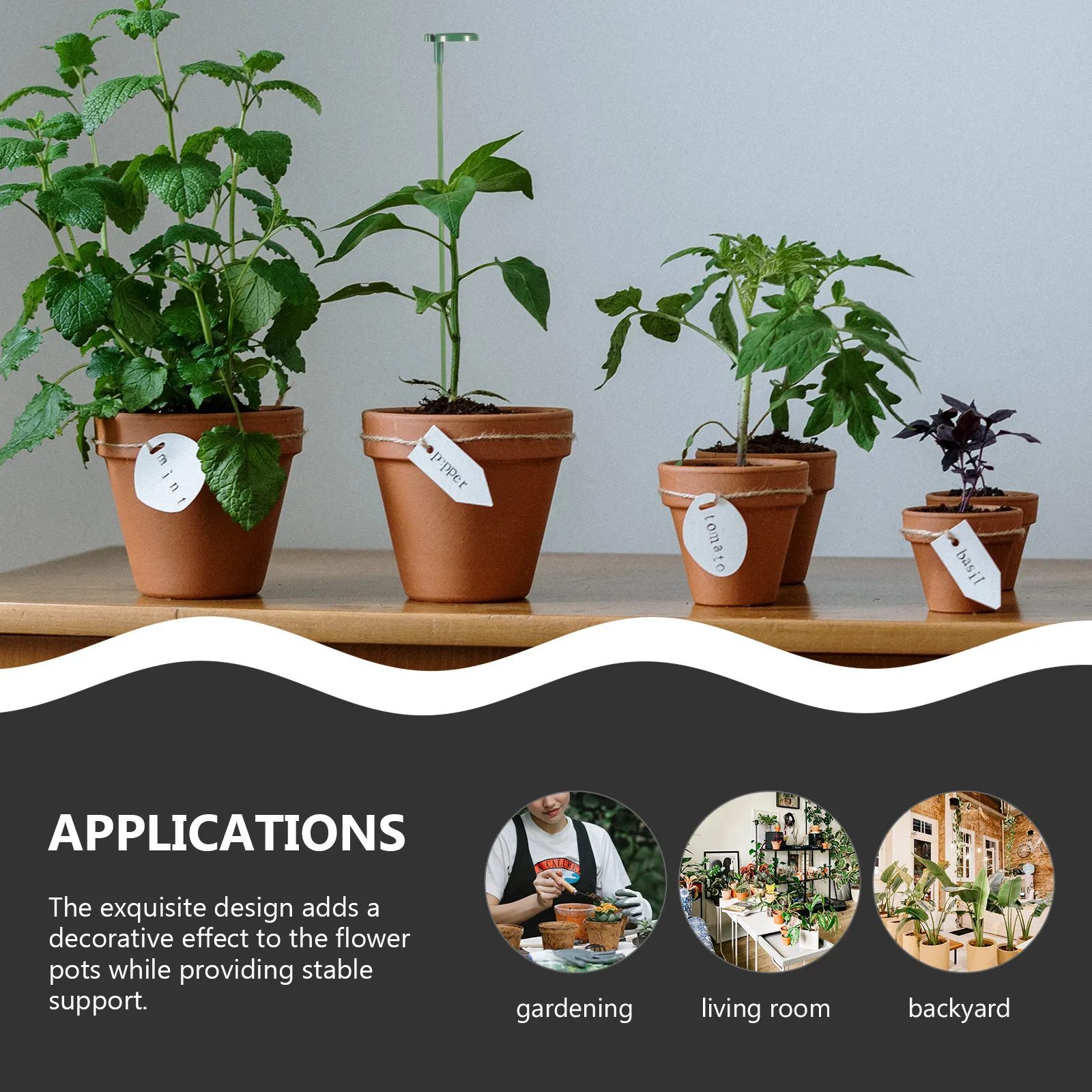 

10Pcs ABS Plant Support Rack Smooth Surface No Burrs Safe Plant Support Stakes for Orchid Tomato Vine Flower Pot Climbing