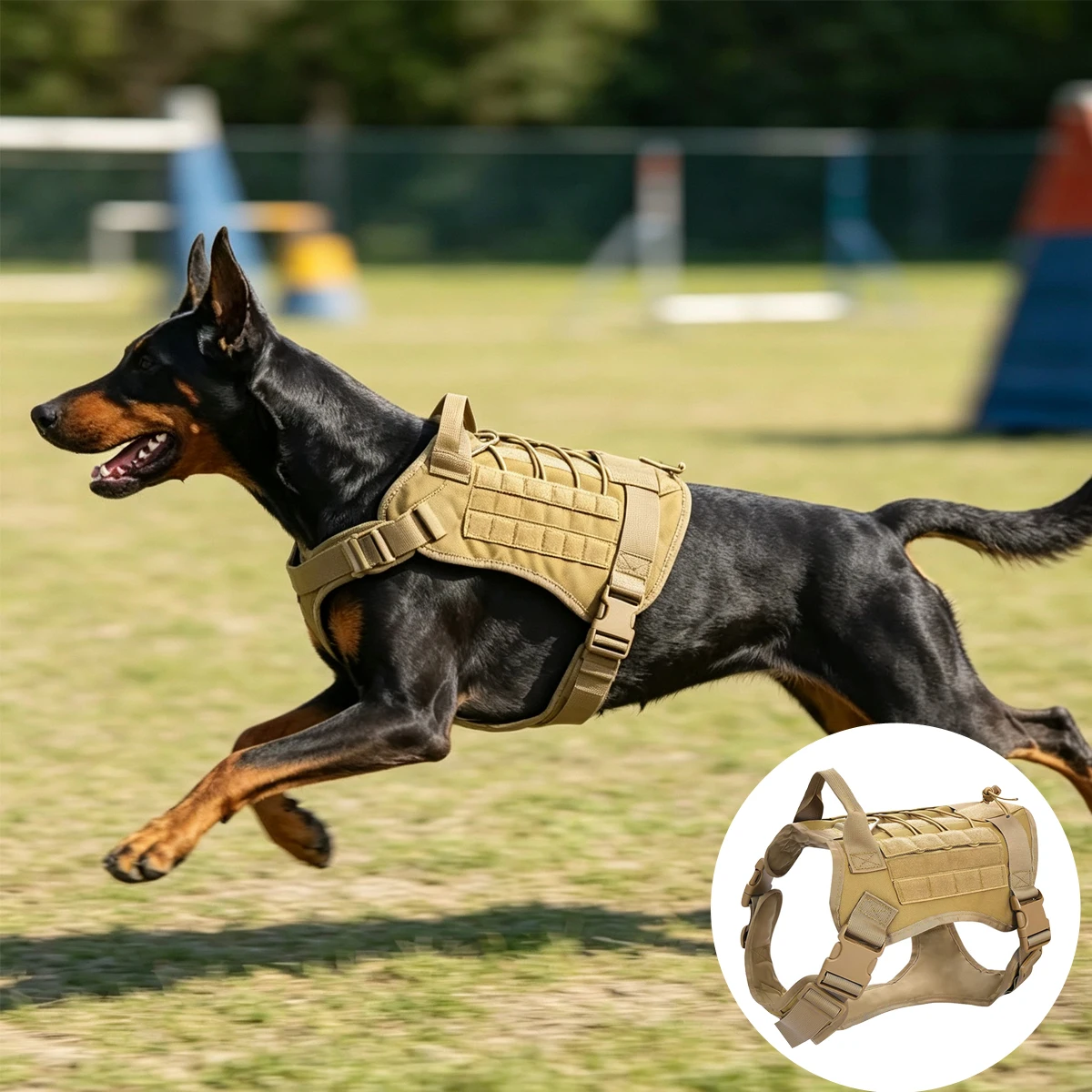 #21 Best Dog Harnesses to Buy In 2026