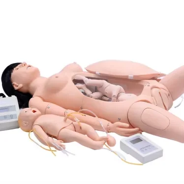 training doll Female Medical Science educational plastic Human biology teaching anatomy birthing delivery teaching model