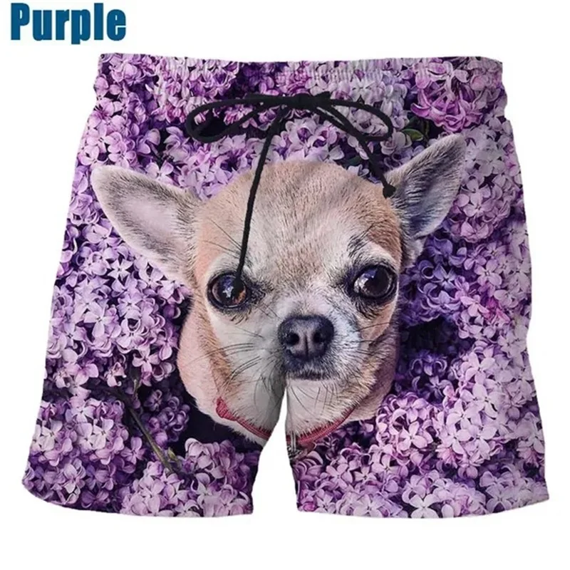 Full Print Animal Dog Pattern Beach Ice Shorts For Men Casual Chihuahua Board Shorts Summer Oversized Mens Swimming Surf Jams