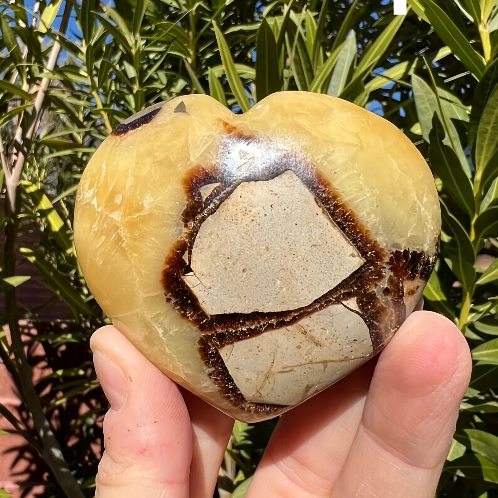 An elegant, high-quality polished yellow tortoiseshell quartz heart, suitable for home décor and educational display