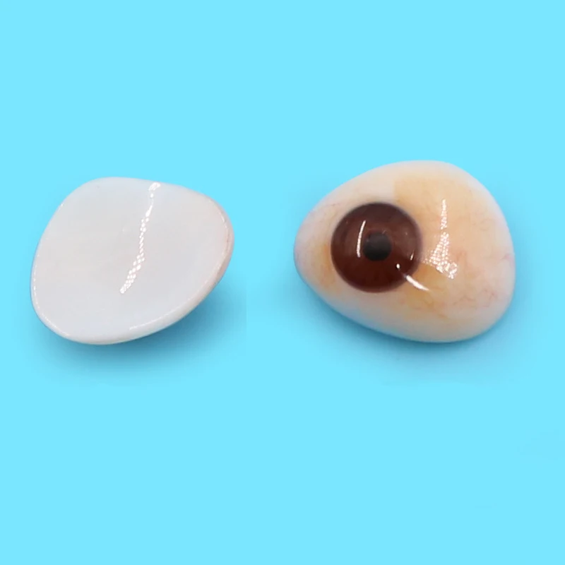 Imported polymer resin prosthesis piece eye atrophy removal wax display ultra-thin customized disabled eyeballs