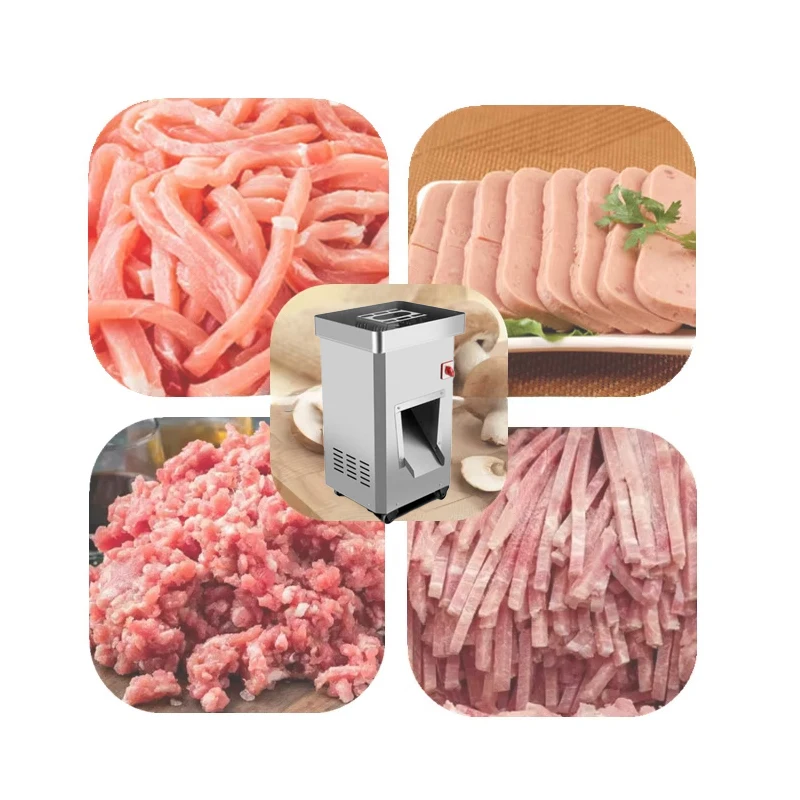 110V/220V Electric …