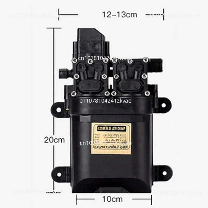 Powerful dual water pump DC 12V 120W high pressure self-priming diaphragm water pump with lawn automatic pressure switch