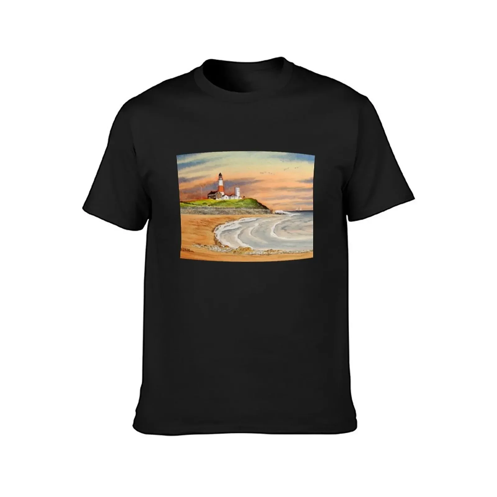 Montauk Point Lighthouse East Hampton New York T-Shirt tees custom shirt mens cotton t shirts