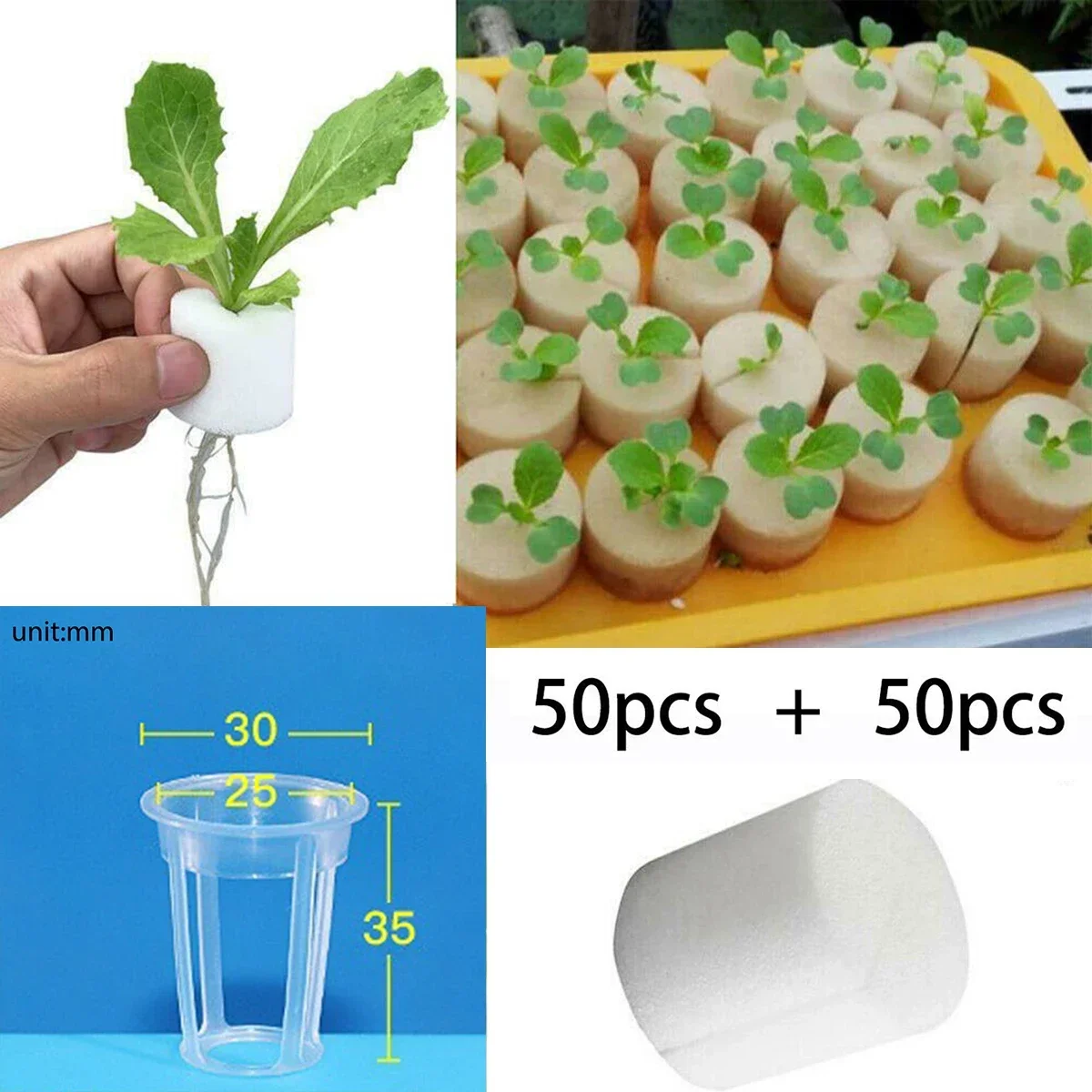 50pc-Hydroponic Planting Basket Balcony Vegetable Soilless Cultivation Equipment Plant Net Cups With Oil-free-Hydroponic Sponge