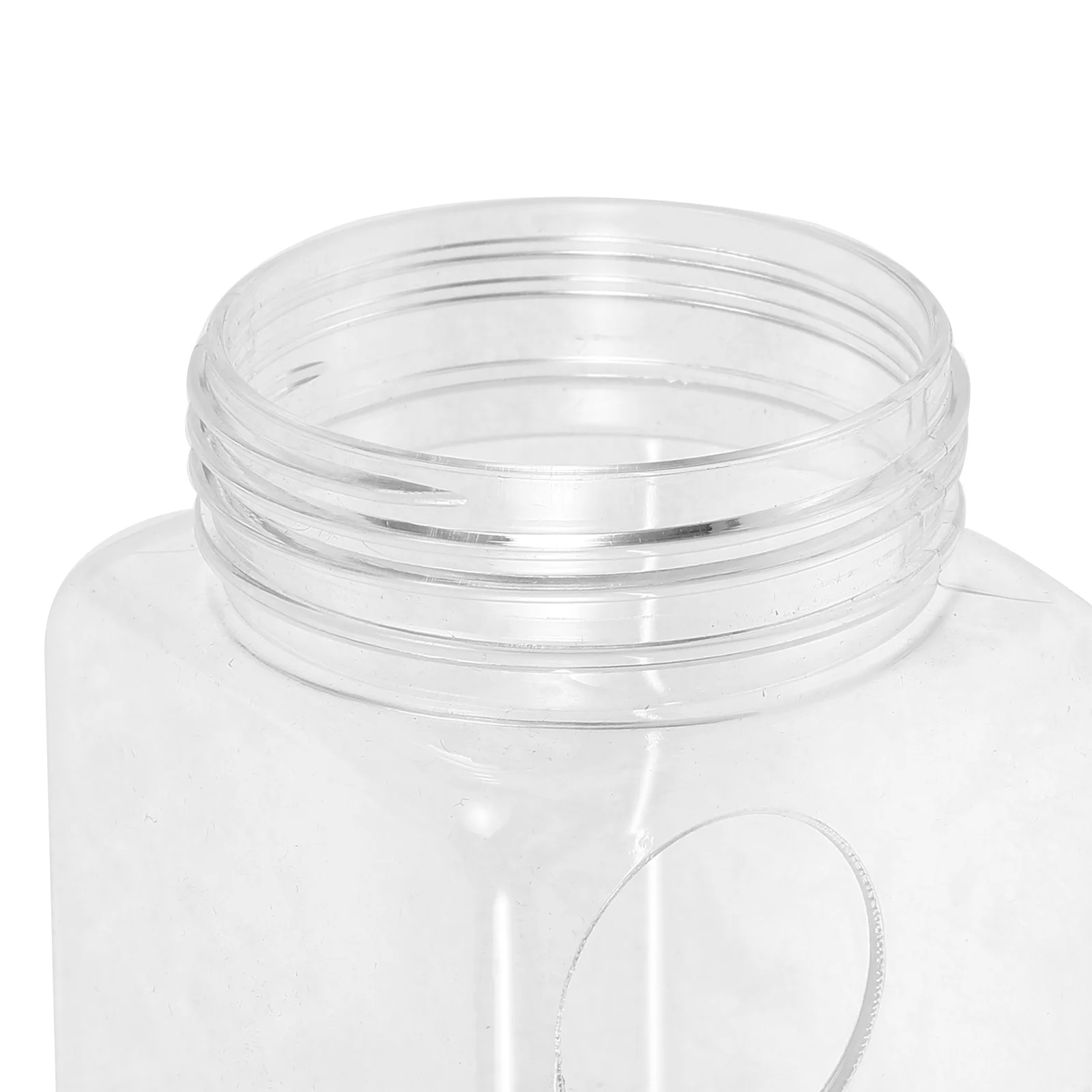 

Automatic Feeder For Chickens Durable Plastic Feeding Box Multi-Hole Design Chicken Feed Dispenser Transparent Food Bowl For